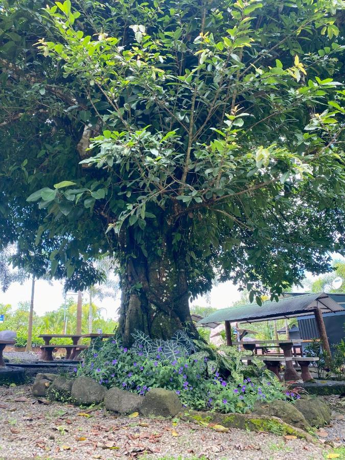 Termales Del Arenal Hotel La Fortuna Luaran gambar