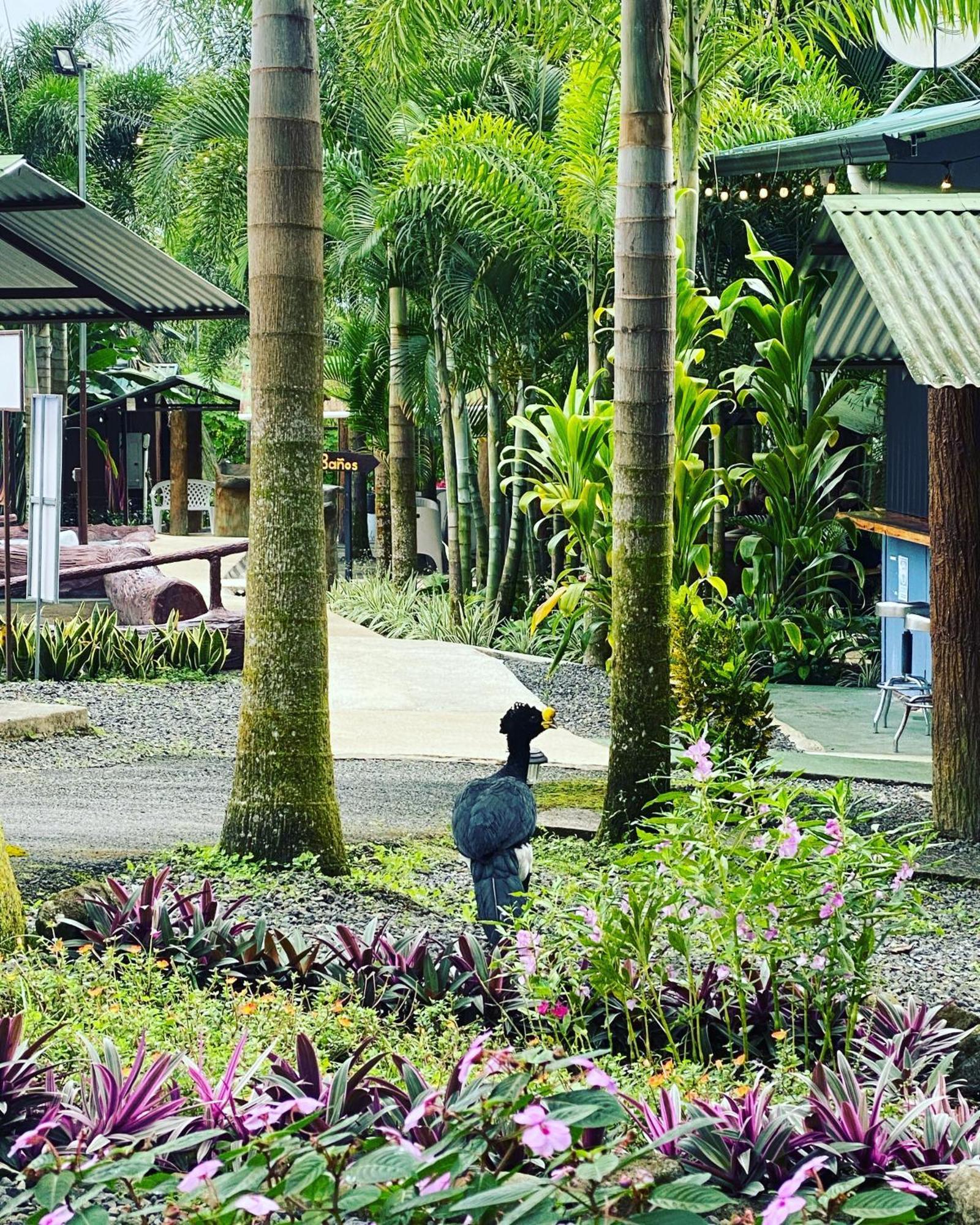 Termales Del Arenal Hotel La Fortuna Luaran gambar